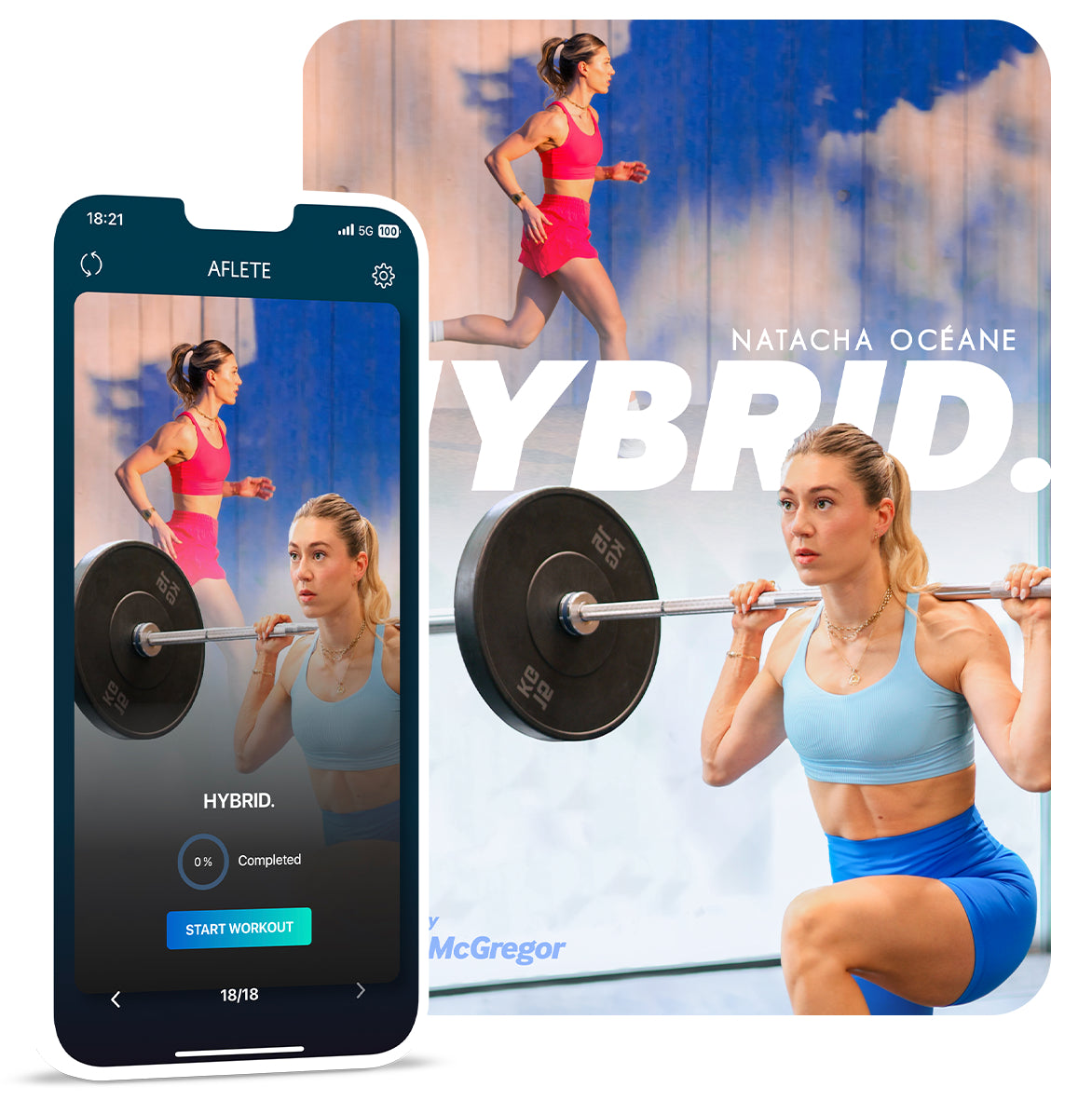 HYBRID. Training Guide